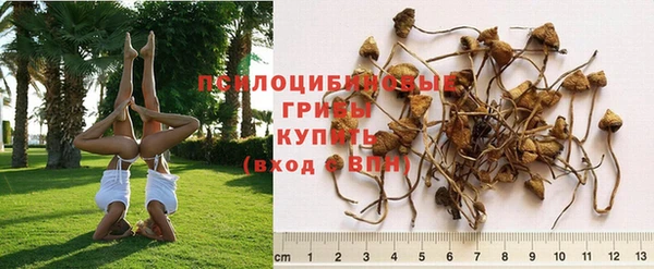 экстази Покров
